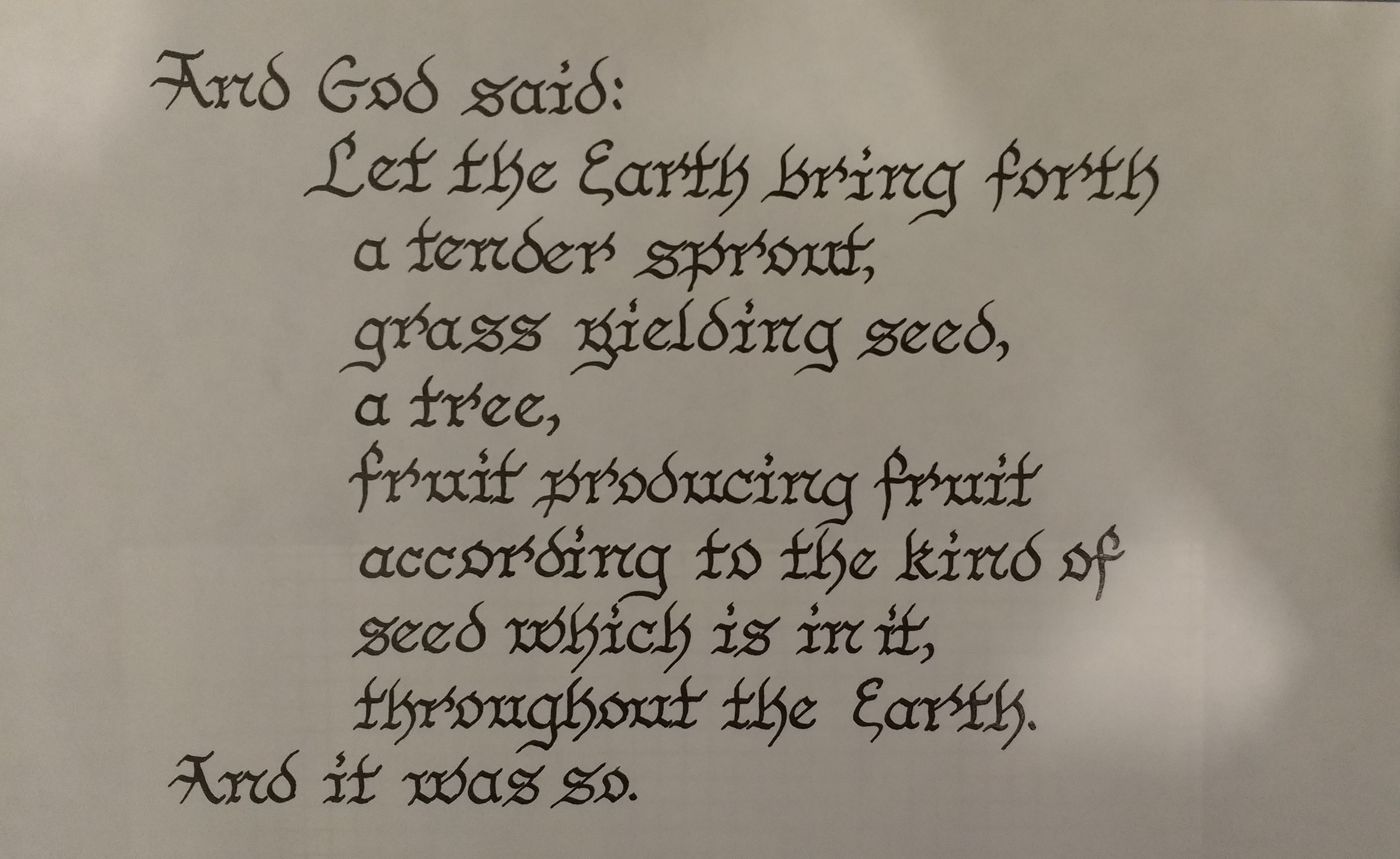 Genesis 1 11 Reimagine Devotion