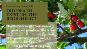 Understanding Genesis 1:12 | Did Death Exist 'in the beginning'? | And the Earth brought forth a tender sprout, grass yielding seed across to their kinds, a tree producing fruit with seed in it according to their kinds. And God saw that it was Good.