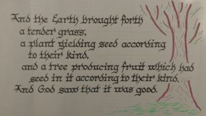 Understanding Genesis chapter 1 verse 12